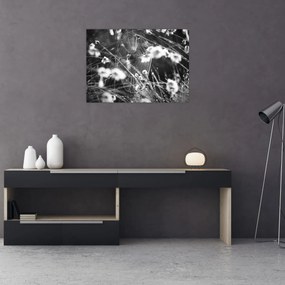 Tablou pe sticlă - Pânza de păianjen în pajiște (70x50 cm)