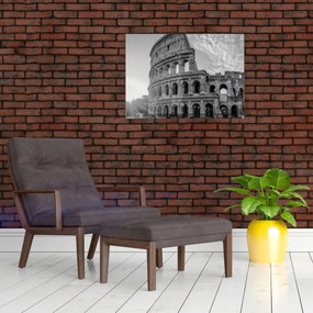 Tablou pe sticlă - Colosseum din Roma, alb-negru (70x50 cm)