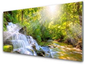 Tablouri acrilice Cascada Pădure Natura Alb Brun Verde