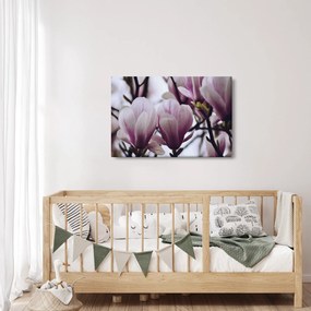 Tablou - Magnolie (90x60 cm)