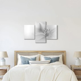 Tablou - Crin delicat (90x60 cm)