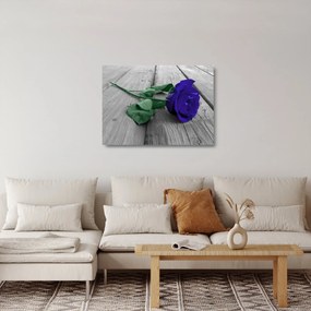 Tablou pe sticlă - Trandafir albastru cu tulpina verde (70x50 cm)