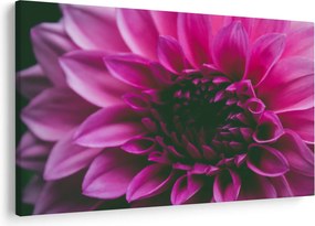 Tablou cu floarea roz (90x60 cm)