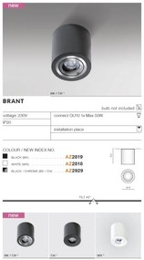 Spot aplicat tavan/plafon stil modern Brant 1 negru/crom