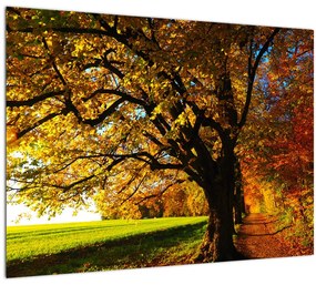 Tablou cu toamna (70x50 cm)