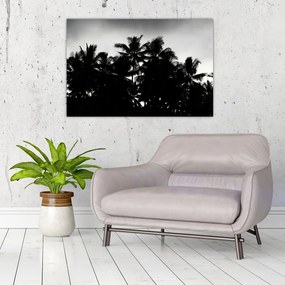 Tablou alb negru - palmieri (90x60 cm)