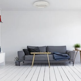 Plafonieră LED LULU LED/40W/230V