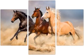 Tablou - Cai sălbatici (90x60 cm)