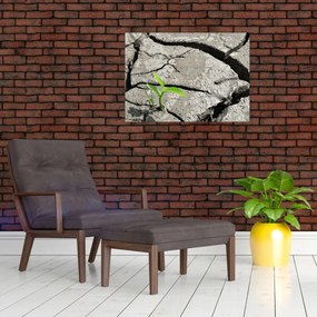 Tablou - Fisuri (70x50 cm)