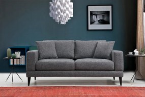 Canapea cu 2 Locuri Nordic 2 Seater, Gri Inchis