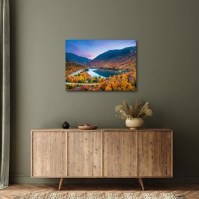 Tablou - White Mountain, New Hampshire, USA (70x50 cm)