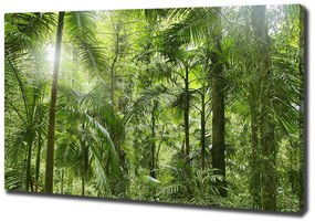 Tablou pe pânză Padure tropicala