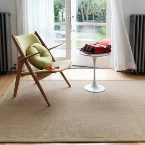 Covor bej 300x200 cm Sisal - Asiatic Carpets