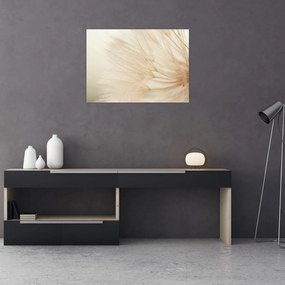 Tablou - Detaliu flori (70x50 cm)