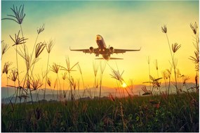 Tablou cu avionul ridicându-se spre zbor (90x60 cm)