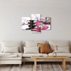 Tablou cupietre pentru masaj și orhidee (90x60 cm)