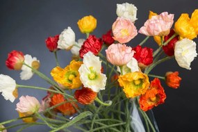 Aranjament floral, vaza eleganta cu maci multicolori TROP 1141847.01