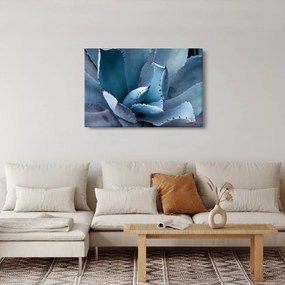 Tablou - Agave (90x60 cm)