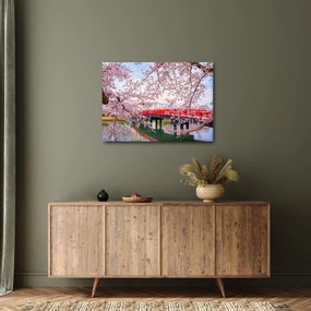 Tablou - Hirosaki, Japonia (70x50 cm)