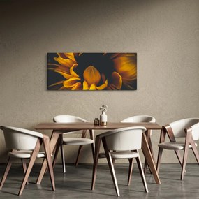 Tablou - Floarea-soarelui în fundal negru (120x50 cm)