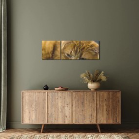 Tabloul pisicii (cu ceas) (90x30 cm)