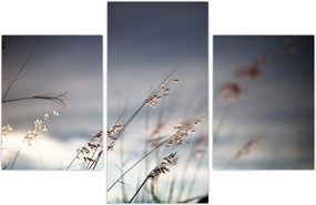 Tablou -Flori de luncă (90x60 cm)
