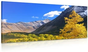 Tablou natură fenomenală Kamceatka în Rusia