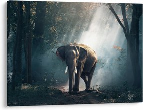 Tablou cu elefant în djunglă (70x50 cm)
