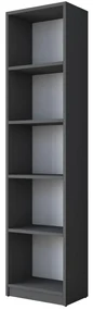 Bibliotecă Hale Anthracite