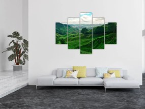 Tablou Plantații de ceai - Malaezia (150x105 cm)
