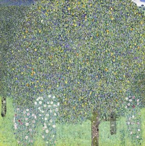 Reproducere Roses under the Trees (1905), Gustav Klimt