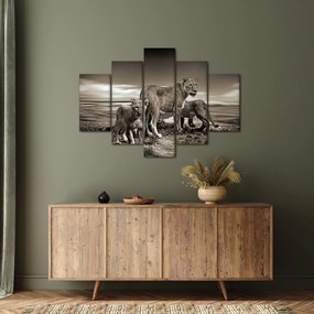 Tablou cu leii alb negri (150x105 cm)