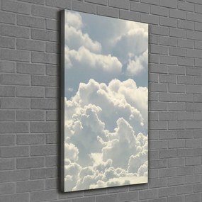 Tablou canvas Nori