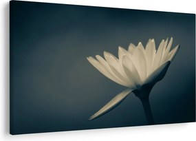 Tablou cu flori (90x60 cm)