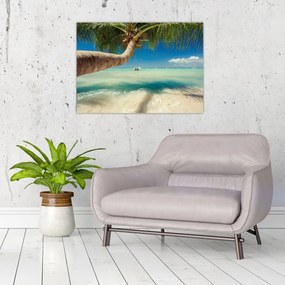 Tablou pe sticlă - Mare curată cu palmier (70x50 cm)