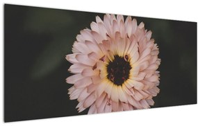 Tablou cu floare portocalie (120x50 cm), în 40 de alte dimensiuni noi