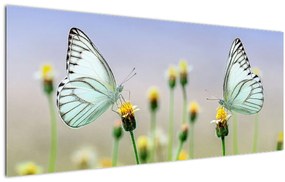 Tablou cu fluture pe floare (120x50 cm)