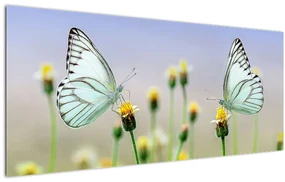 Tablou cu fluture pe floare (120x50 cm)