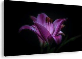 Tablou crinul (90x60 cm)