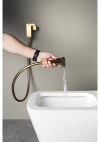 Sapho - Baterie pentru bideu CUBEMIX, cu duș, pentru montaj încastrat, auriu mat