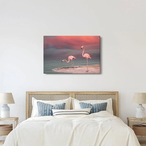 Tablou - Flamingo (90x60 cm)