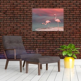 Tablou pe sticlă - Flamingo (70x50 cm)