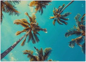 Tablou - Palmieri înalți (70x50 cm)