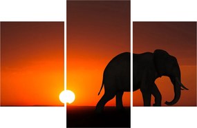 Tablou cu elefant în apus de soare (90x60 cm)