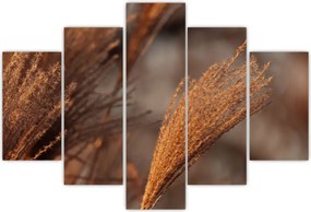 Tablou - Cortaderie (150x105 cm)