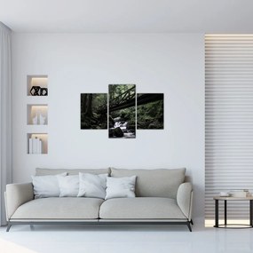 Tablou din pădurea neagră (90x60 cm)