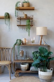 Scaun dining bej din lemn de cauciuc, rattan si rachita, cu aspect vintage, French