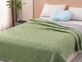 Pilota de vara racoritoare ELARIA, verde Dimensiune: 140 x 200 cm