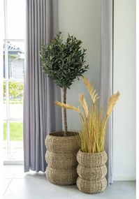 Cosuri Sarbas, iarbă de mare, natural, 2pcs