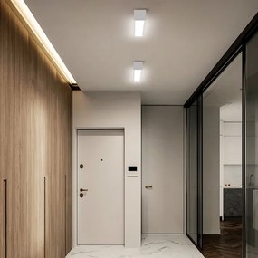 Immax NEO 07257L - LED LUNGO 20W/230V Wi-Fi Tuya albă, dimabil + DO